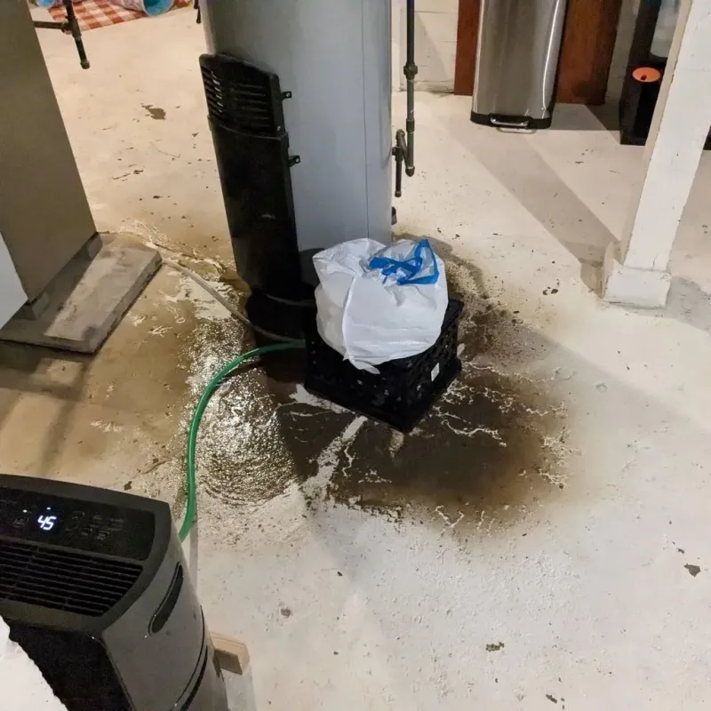 Sewage Backup Cleanup Service in Skyline Acres, OH